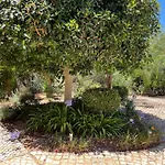 Garbe - Private Villa,total Privacy, Infinity Swimming Pool, Close To Beaches * Porches (Algarve)