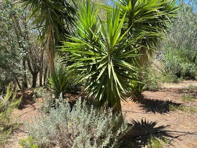 Garbe - Private Villa,total Privacy, Infinity Swimming Pool, Close To Beaches Porches (Algarve)