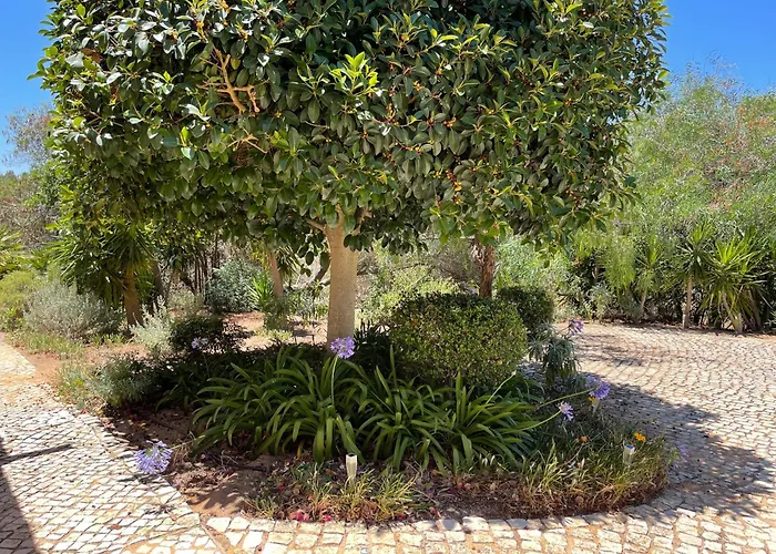 Garbe - Private Villa,total Privacy, Infinity Swimming Pool, Close To Beaches * Porches (Algarve)