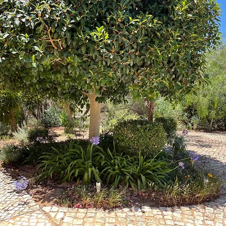 Garbe - Private Villa,total Privacy, Infinity Swimming Pool, Close To Beaches * Porches (Algarve)